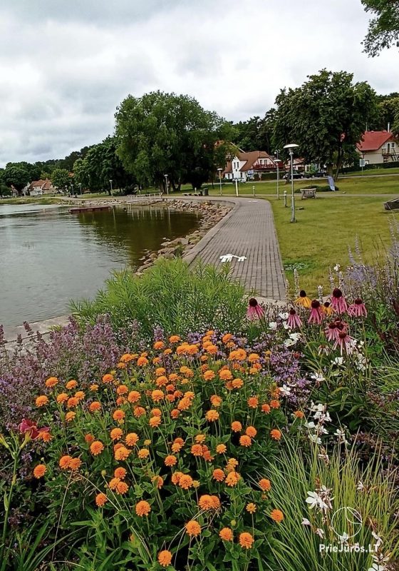 Dzīvokļi Pamario juosta, Juodkrantė