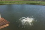 Atpūtas un viesu nams Palangā - 3