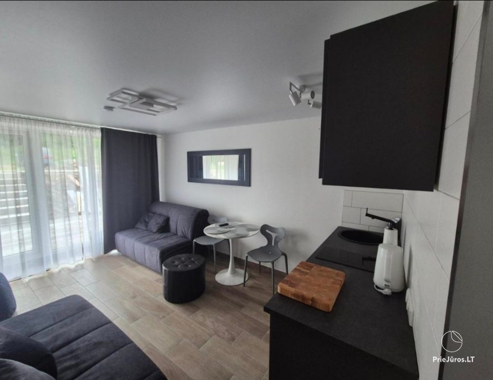 Studijo Apartamentai - Mėguvos 9 - 1