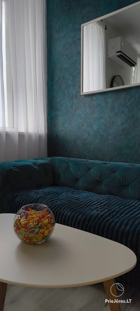 Svajoritos apartamentai Palangoje - 1