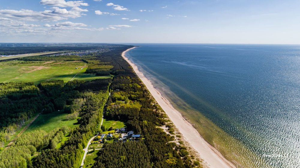 Testinė anketa - L 4 Tipas - 1