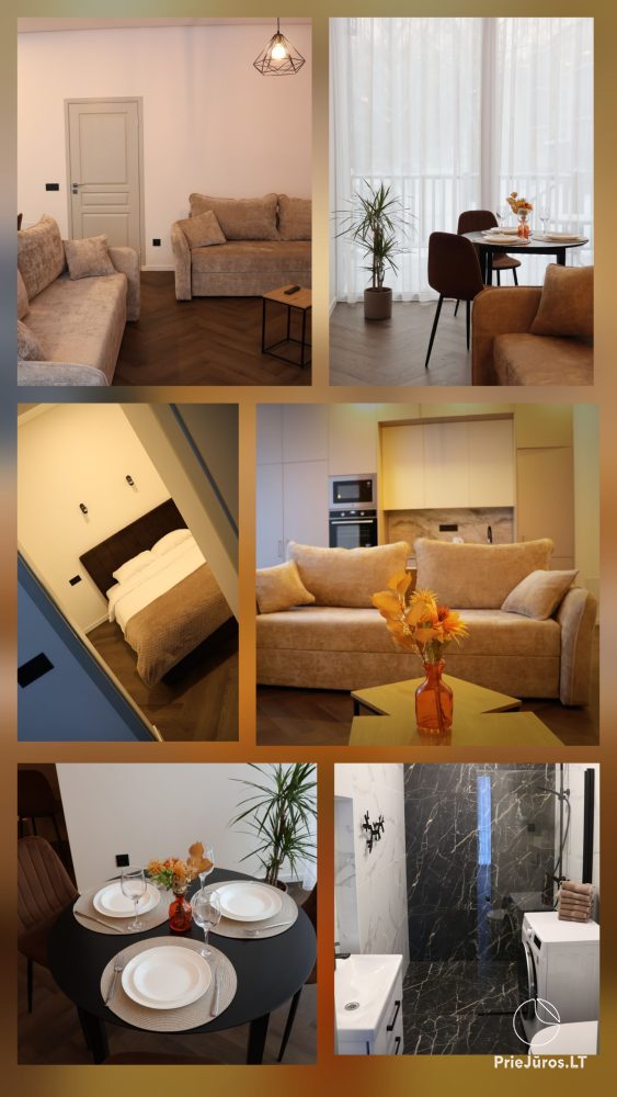 Apartamentų nuoma Vytauto gatvėje - 1