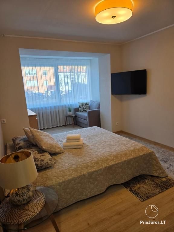 Nidos centras - Taikos g. 1 kambario butas