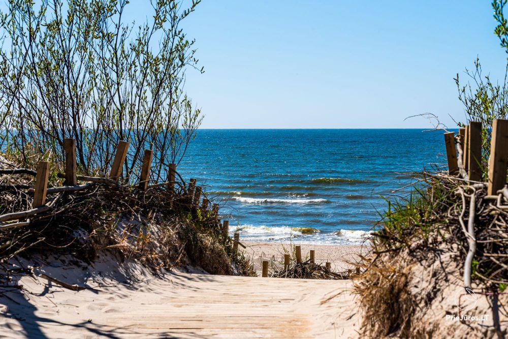 Apartamentai PrieJūros Palangoje - 1