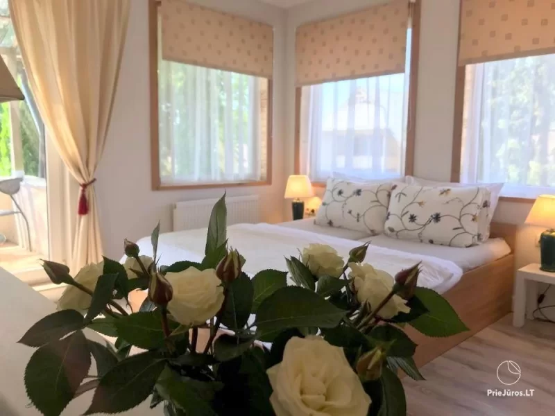 Apartamentai Birutės alėjoje