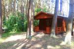 Wooden House Rent in Sventoji, in pine forest