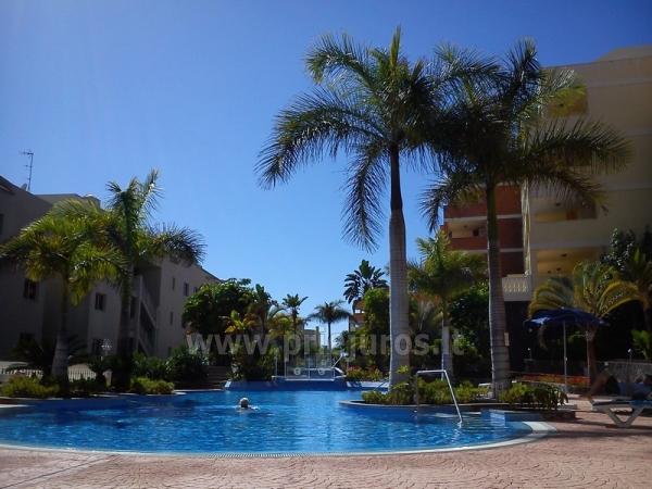 Poilsis Tenerifėje, Calle Quezal, 28, Palm-Mar, Tenerifė - 1
