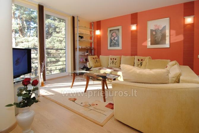 Apartaments Palanga. Netālu piejūras priežu mežs, netālu no pludmales
