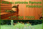“Pirtis su pirtininke” Ramune Klaipėdoje