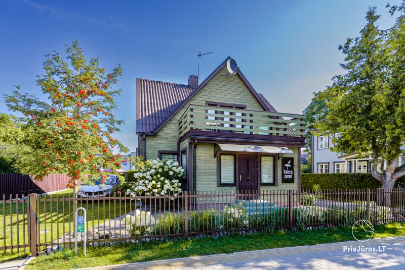 Violetos māja. Izīrē dzīvokļus, istabas Palangā