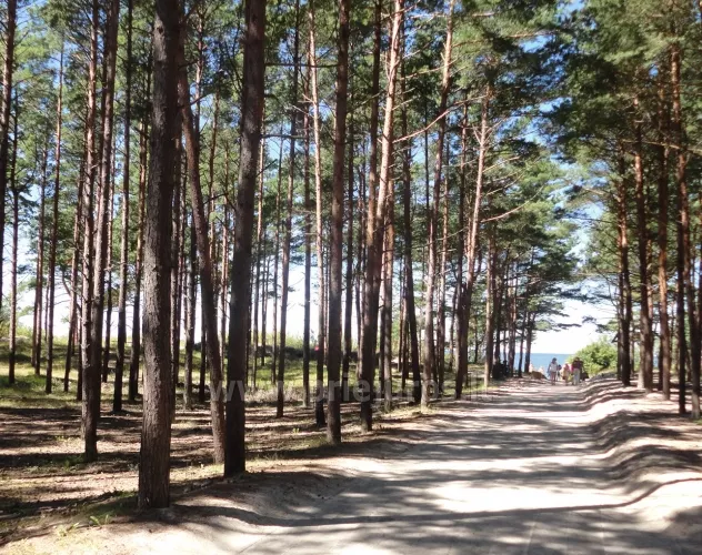 Namelio nuoma prie pat jūros! 3 kambariai, 6 miegamos vietos