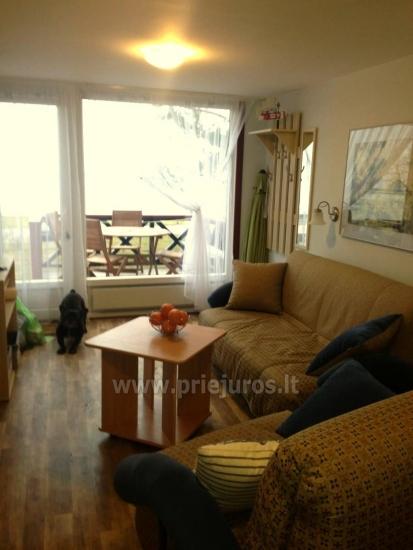 Apartamentai Nidos pušelė Jūsų atostogoms