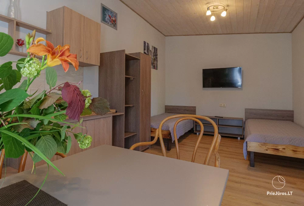 Brīvdienu māja Pylimo slenis - 1