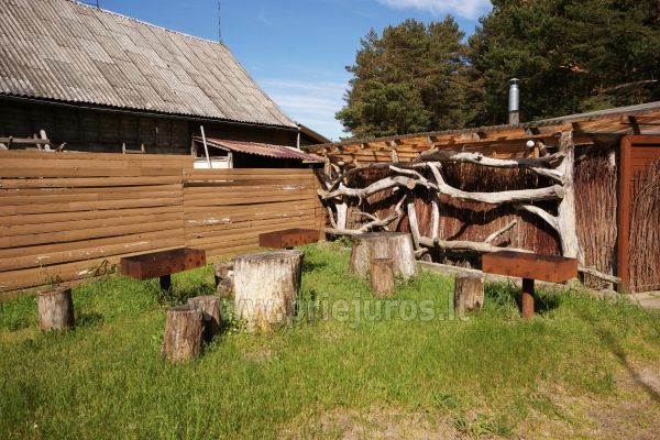 „Svajonė“ - 1