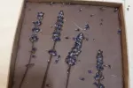 Sodyba „Evė“ - 5