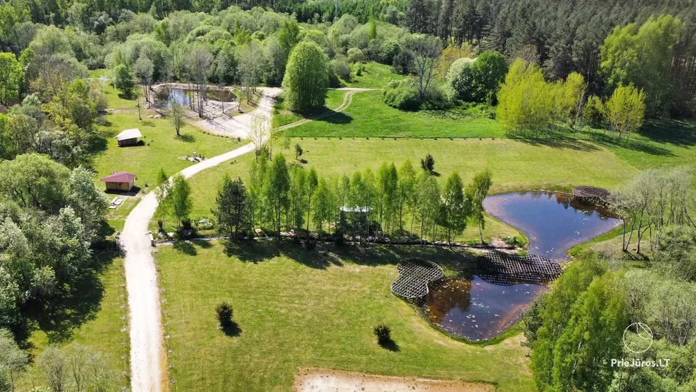 Parduodamas sklypas Šventojoje, ant upės kranto, šalia miško – kempingo, sodybos verslui - 1