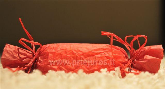 Najųjų metų sutikimas šviesos pilnuose namuose Neringoje!