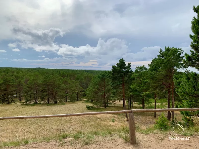 Apžvalgos aikštelė ant Avikalnio