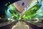 Lithuanian sea museum and Dolphinarium