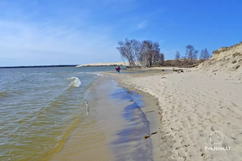 Parnidžio pažintinis takas Nidoje