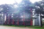 2 kambarių apartamentai romantiškam poilsiui Palangoje - 7