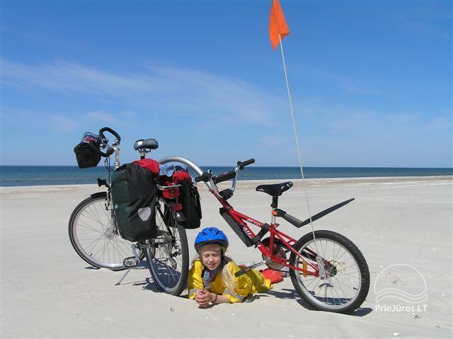 Velo noma Klaipēdā
