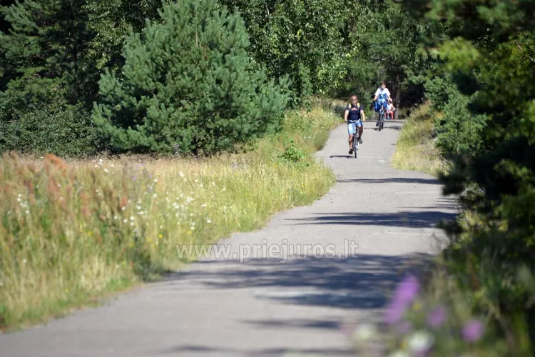 Pajūrio dviračių takas Palanga - Nida (90 km)