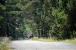 Pajūrio dviračių takas Palanga - Nida (90 km) - 9