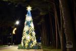 Šv. Kalėdų eglės įžiebimas Šventojoje 2019 m. gruodžio 7 d.