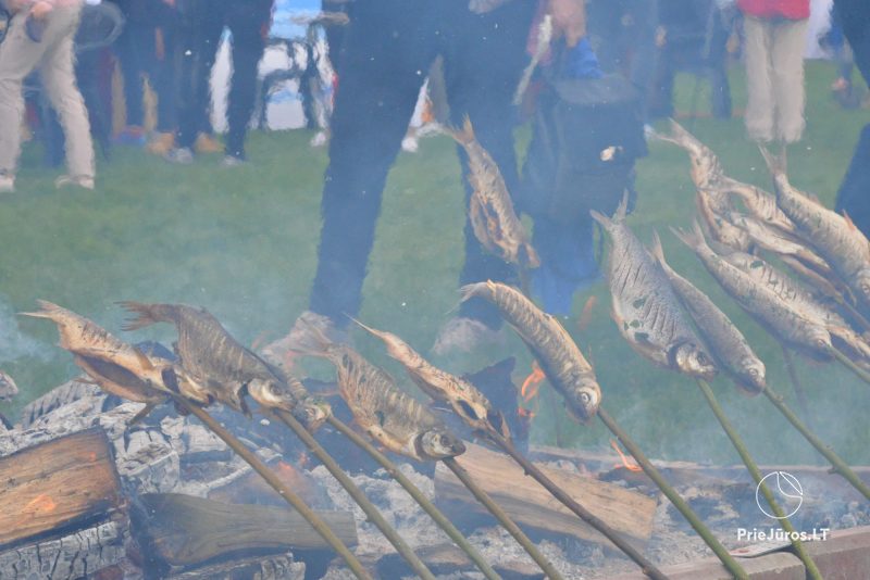 Festivāls Neringā Žiobrinės 2025 25-27. aprīlis