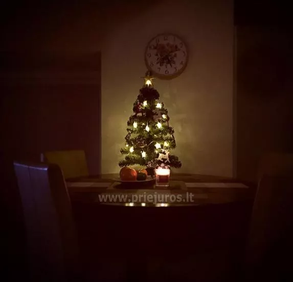 Jaukūs ir šilti apartamentai Jūsų jaukioms ir šiltoms Kalėdoms!.. - 1