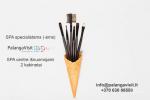 SPA specialistams (-ėms) išnuomojami 2 kabinetus