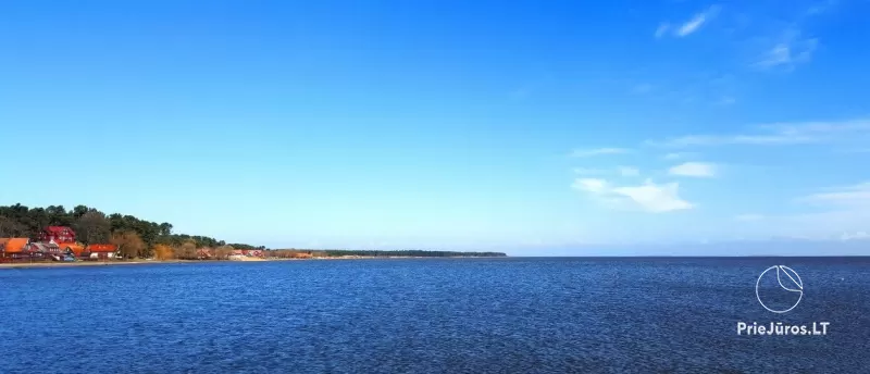 Bulvikio ragas – Kuršių Nerijos iškyšulys į Kuršių marias tarp Nidos ir Preilos