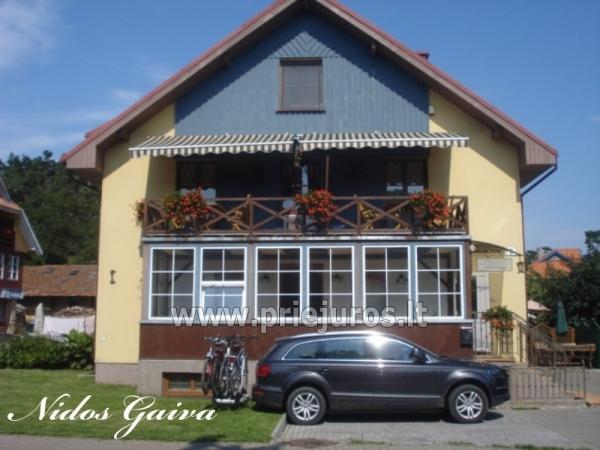 „Nidos Gaiva“ - 1