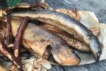 Žvejo Antano žuvis Šventojoje - pagal senas tradicijas, natūraliai rūkoma žuvis - 5