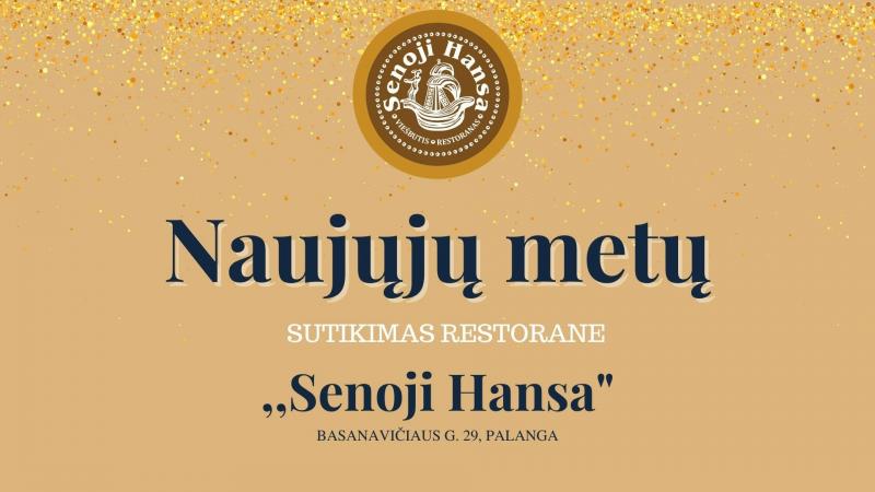 New year in a hotel Senoji Hansa