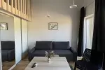 Šeimyninis liukso klasės loftas nr 7 - 2