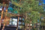 Jaukūs 1 kambario apartamentai nuomai Palangoje - 1