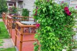 Nauji dviejų, trijų, keturių vietų apartamentai! - 4